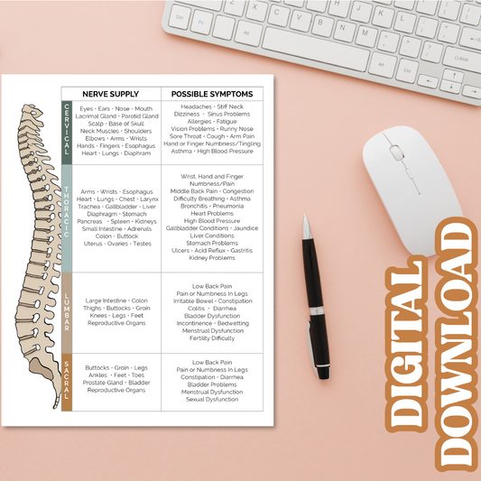 ROF Patient Handout Digital Download | Report Of Findings | Spinal Nerve Chart | Chiropractic Nerve Chart