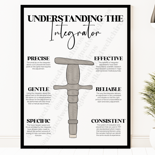 Understanding The Integrator | Chiropractic Wall Art | Chiropractic Art | Chiropractic Office Decor | Chiropractic Poster