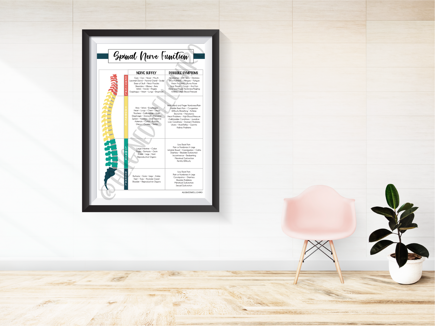 Spinal Nerve Function | Chiropractic Wall Art | Chiropractic Art | Chiropractic Office Decor | Chiropractic Poster