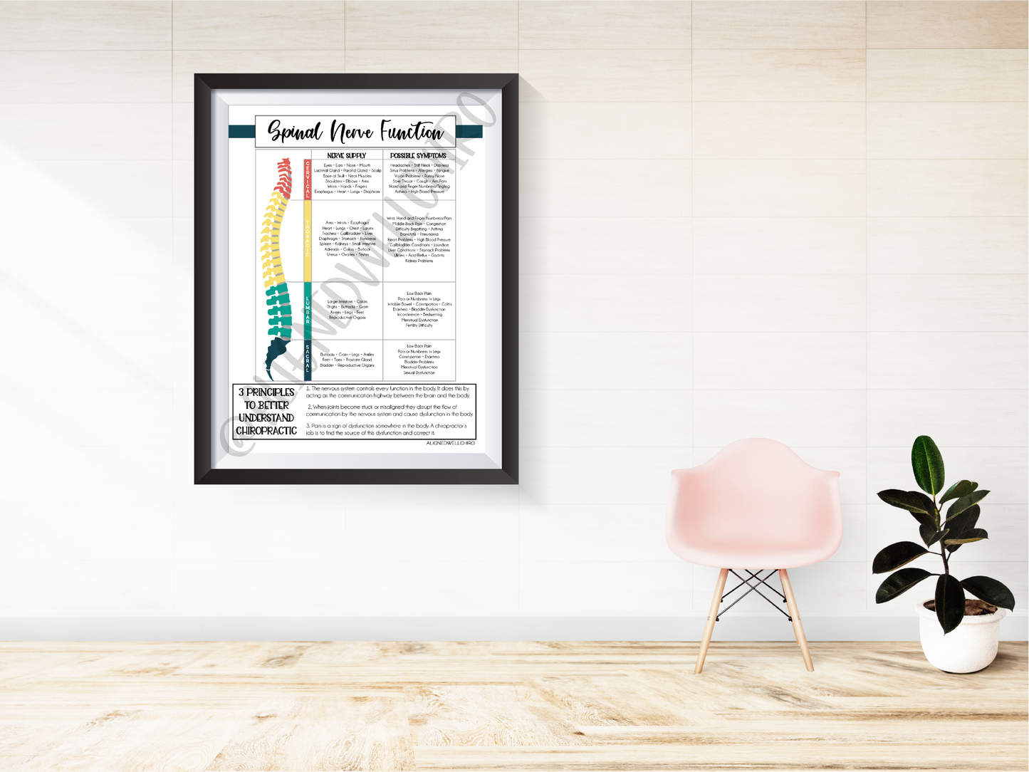 Spinal Nerve Function and 3 Principles | Chiropractic Wall Art | Chiropractic Art | Chiropractic Office Decor | Chiropractic Poster